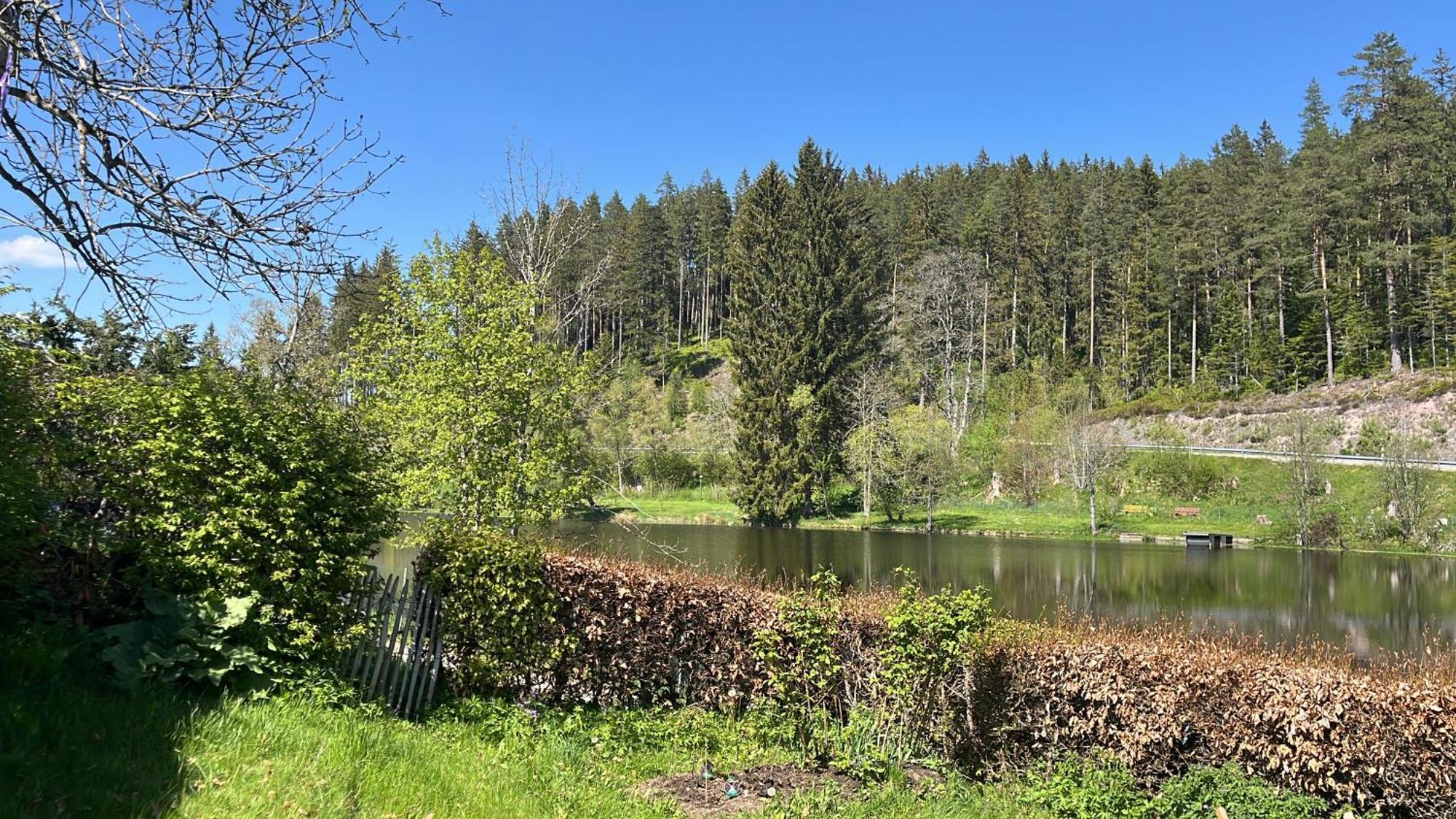Haus Am See - Natur Pur Friedenweiler エクステリア 写真