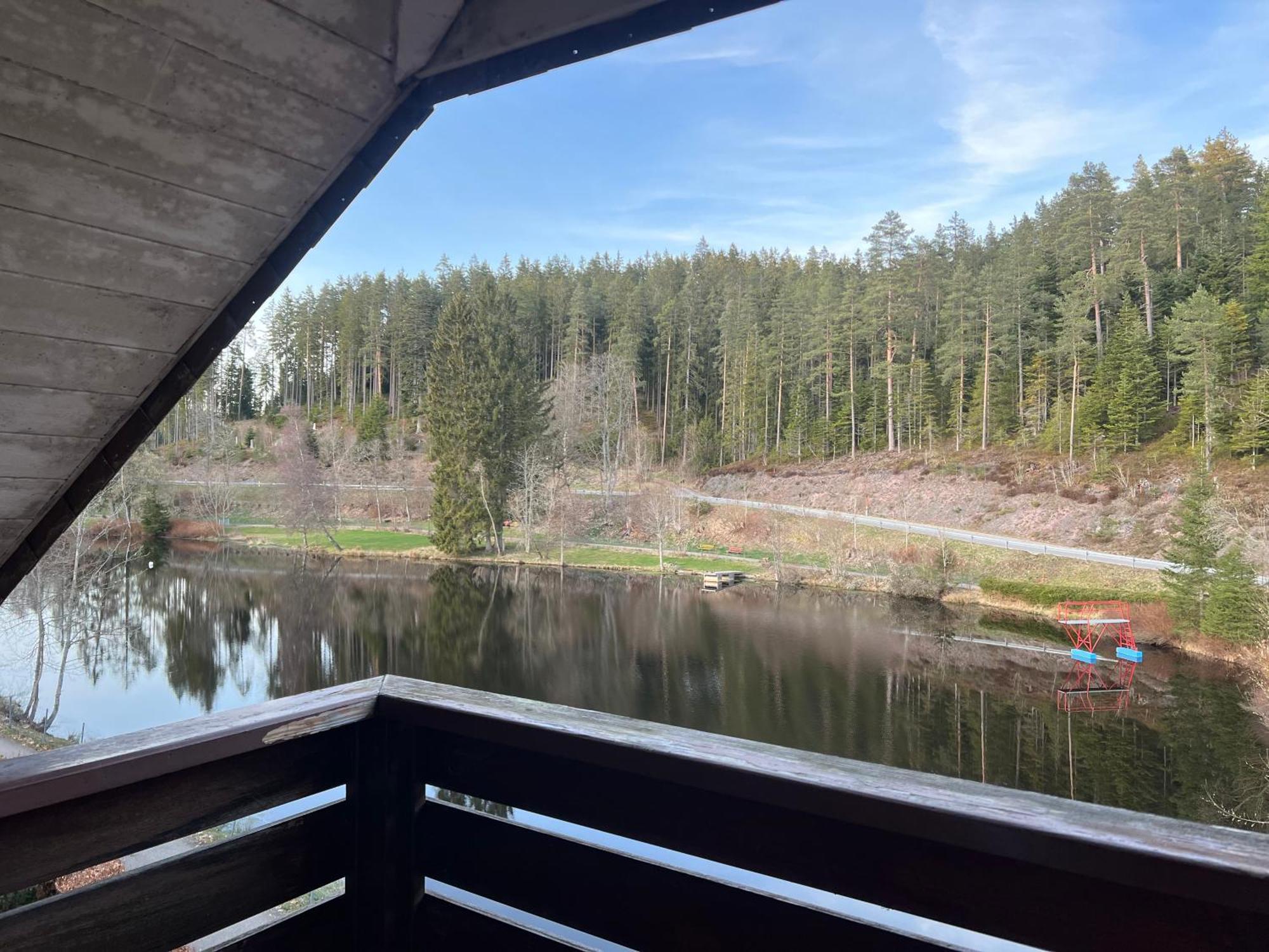 Haus Am See - Natur Pur Friedenweiler エクステリア 写真