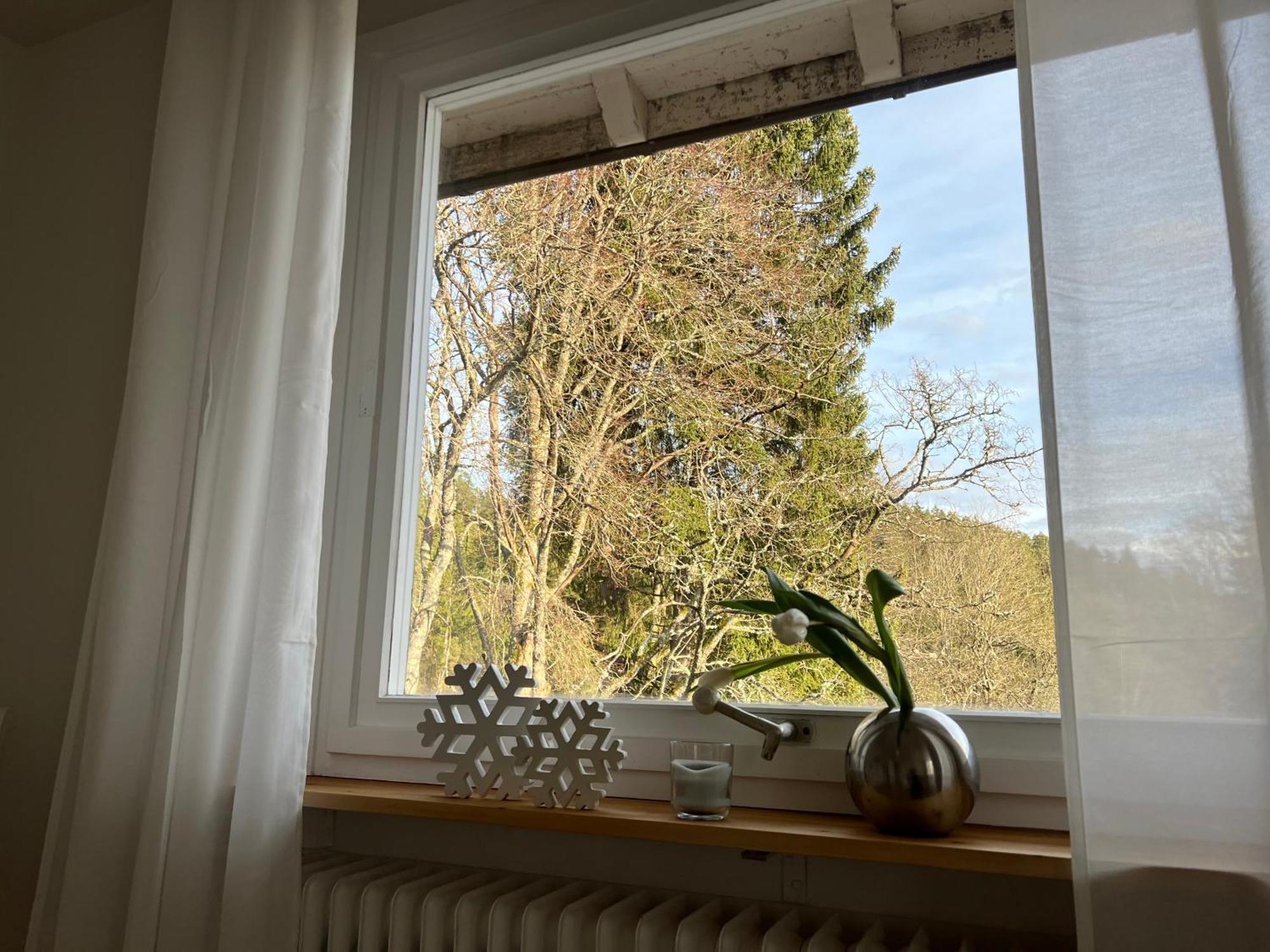 Haus Am See - Natur Pur Friedenweiler エクステリア 写真