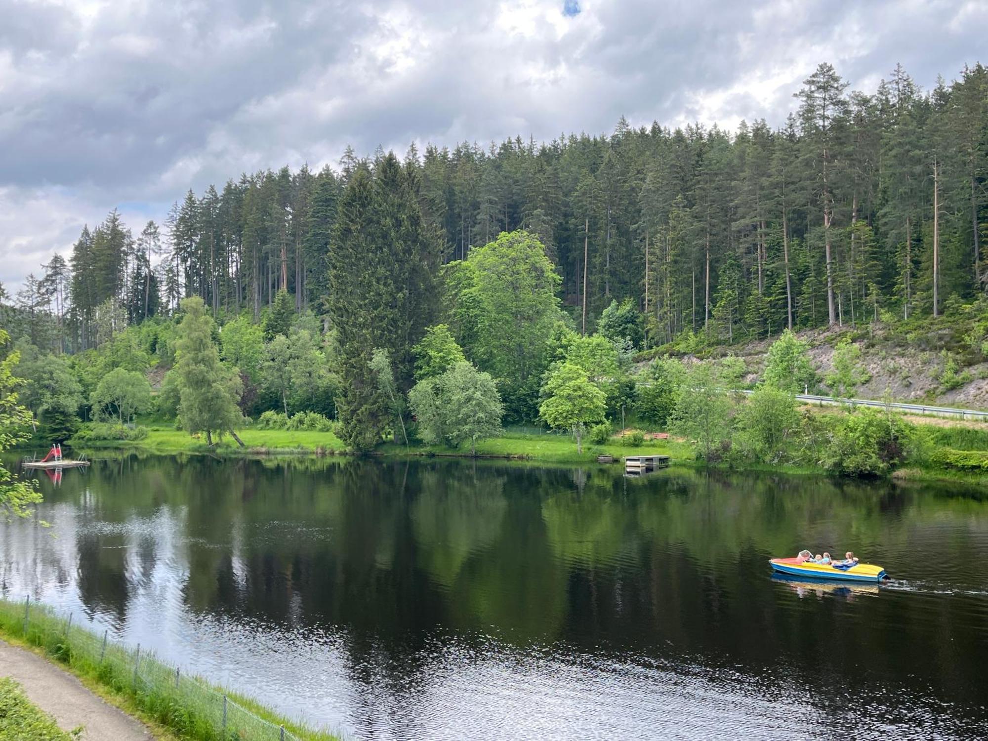 Haus Am See - Natur Pur Friedenweiler エクステリア 写真
