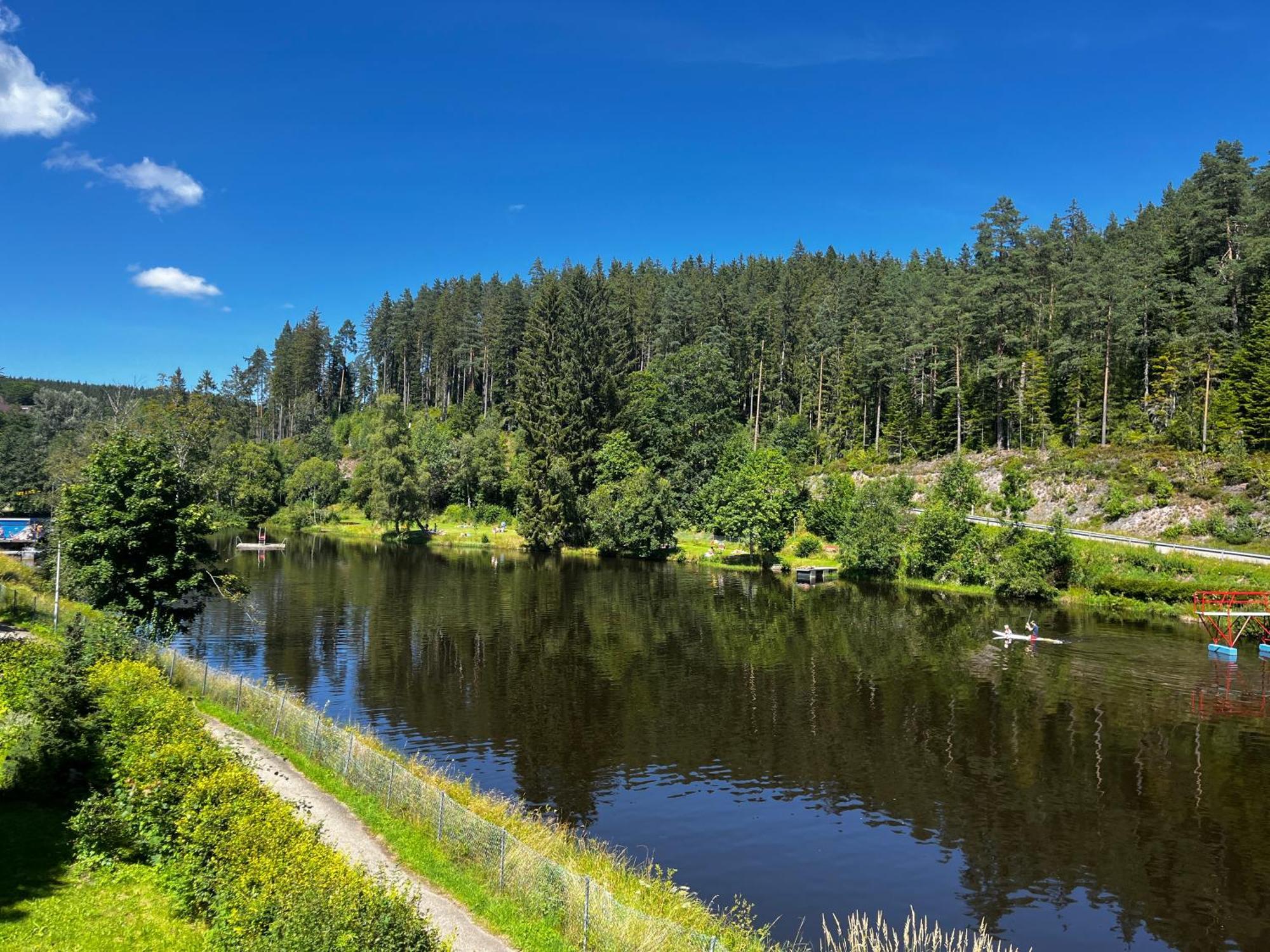 Haus Am See - Natur Pur Friedenweiler エクステリア 写真