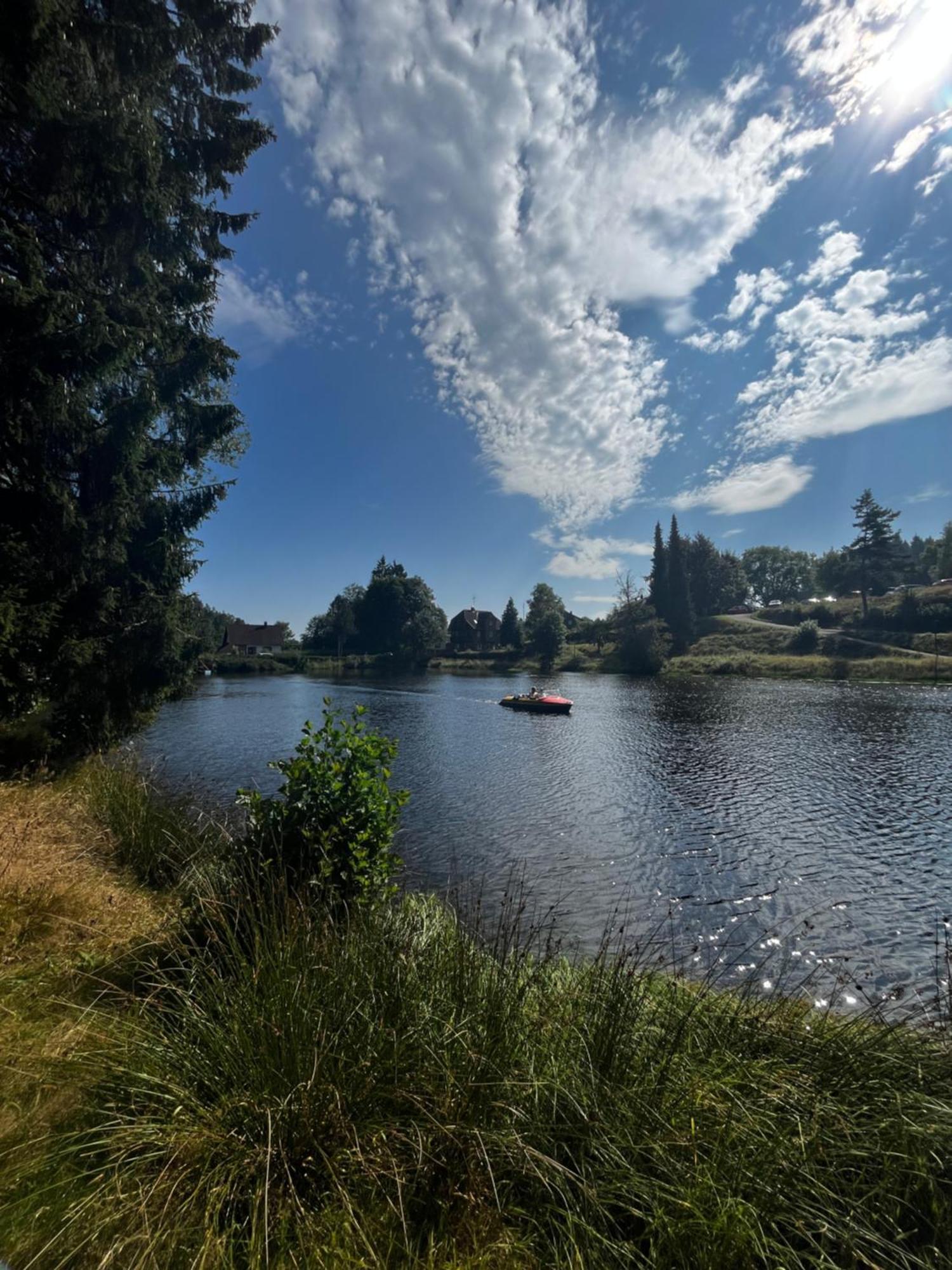 Haus Am See - Natur Pur Friedenweiler エクステリア 写真
