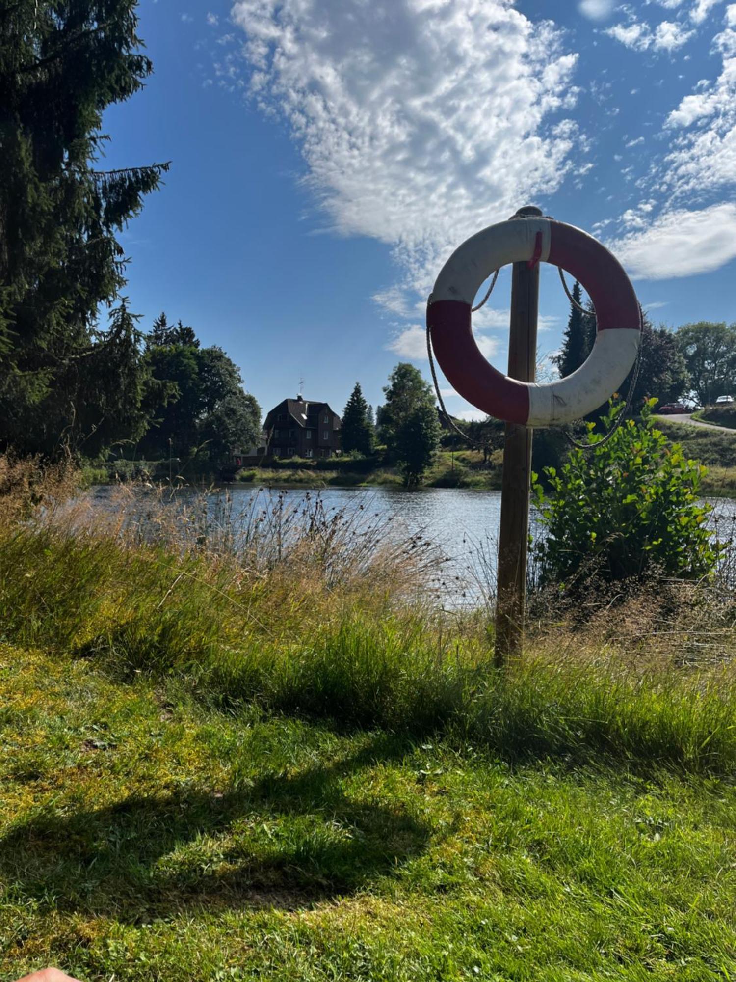 Haus Am See - Natur Pur Friedenweiler エクステリア 写真