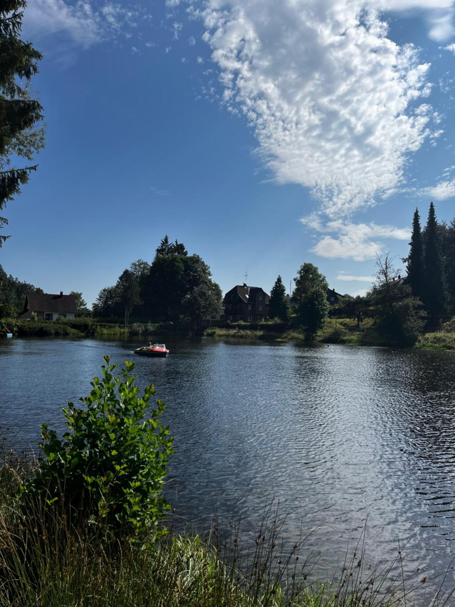Haus Am See - Natur Pur Friedenweiler エクステリア 写真