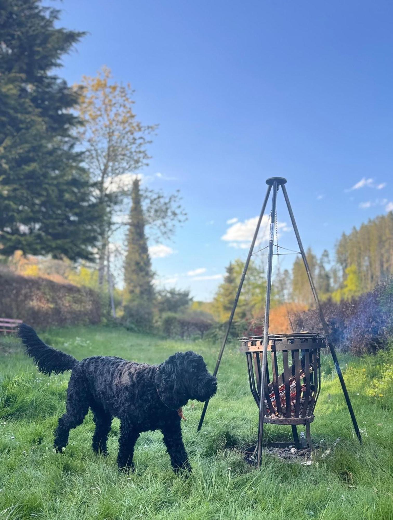 Haus Am See - Natur Pur Friedenweiler エクステリア 写真